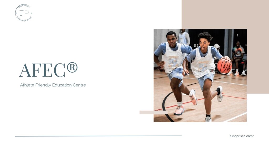 AFEC model
